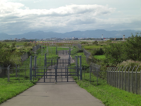 CIMG4524