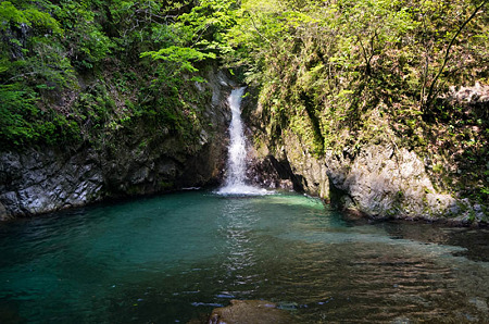 龍王渕　2012.5.7-1