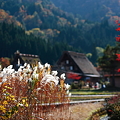『原風景の秋。。。』