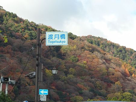 DSC03039_R
