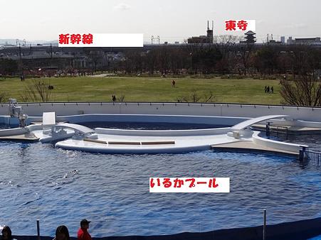 DSC03984_R