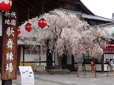 DSC04320_R