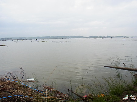 R0014181