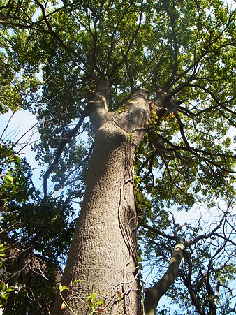 R0014199