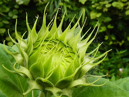 R0015105