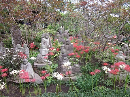 羅漢と彼岸花