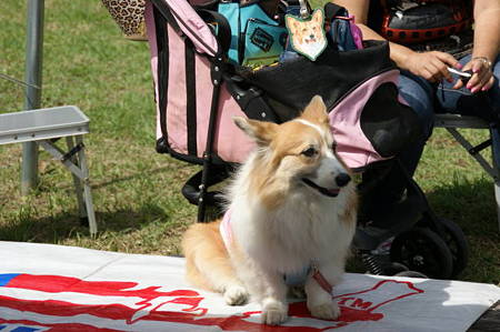 DSC03143