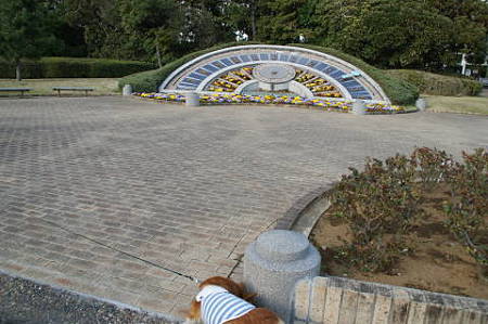 DSC04962
