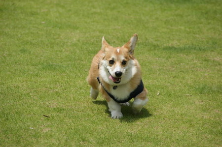 DSC06004