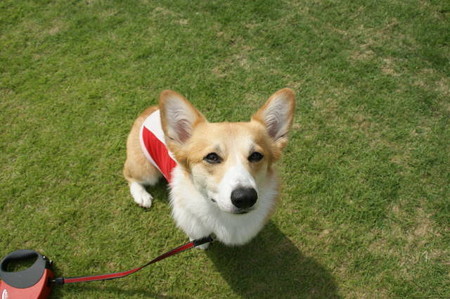 DSC06032