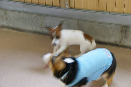 DSC00995
