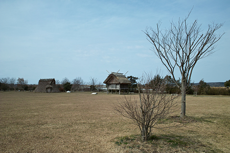 Yayoi_Park03042012dp1-02