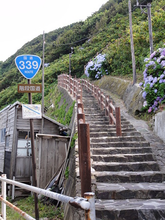 DSC00509