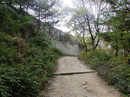 CIMG3187_R CIMG3187_R