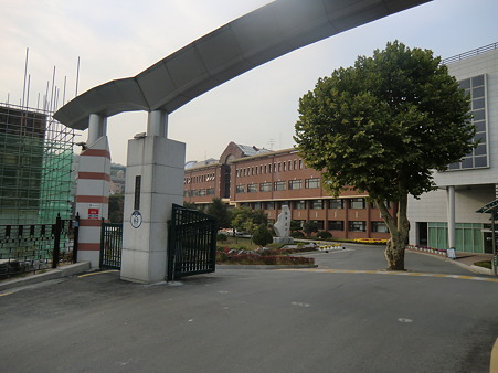 CIMG3250 CIMG3250