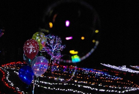 IMGP4015_1217