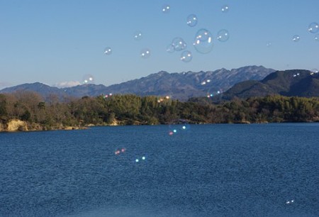 IMGP7937_0219