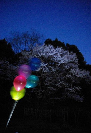 IMGP0927_0331