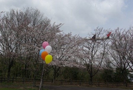 IMGP0065_0407