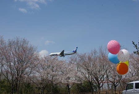 IMGP0092_0407