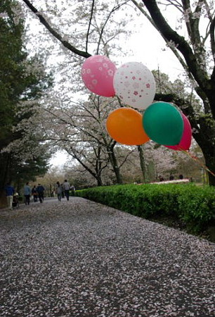 IMGP0012_0414