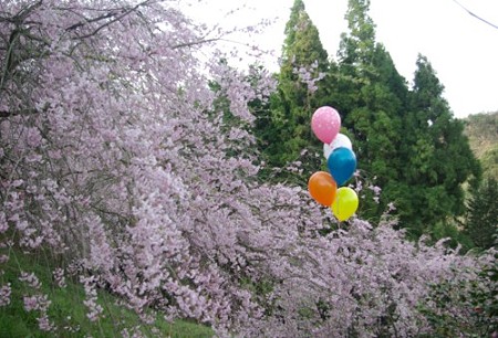 IMGP0002_0415