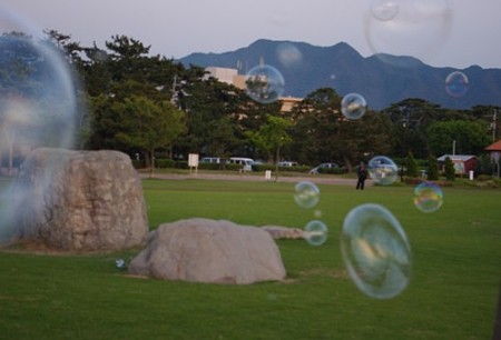 IMGP2342_0512
