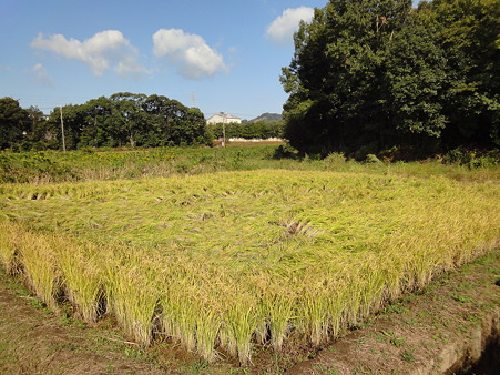 DSC01850