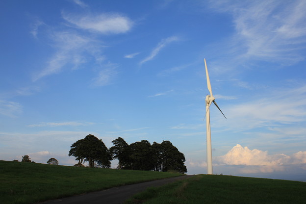 高原の風車
