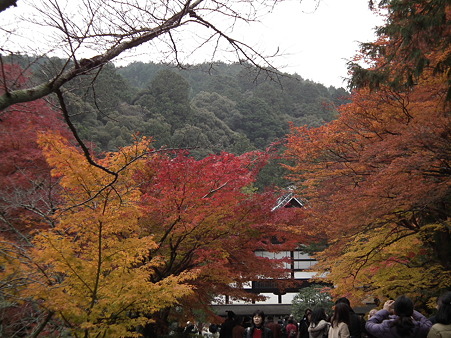 京都 707