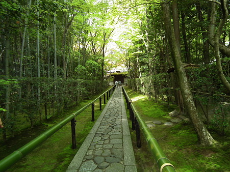 6高桐院