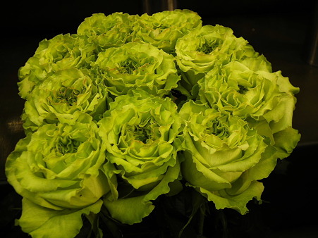16ガーデニングショー薔薇