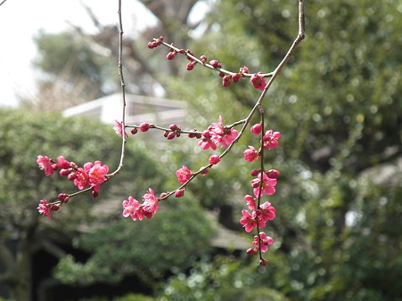 DSCF0069