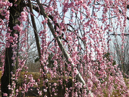 IMGP0055