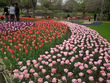 DSCF0248