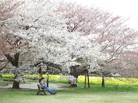 DSCF0662