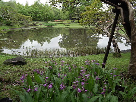 DSCF0060