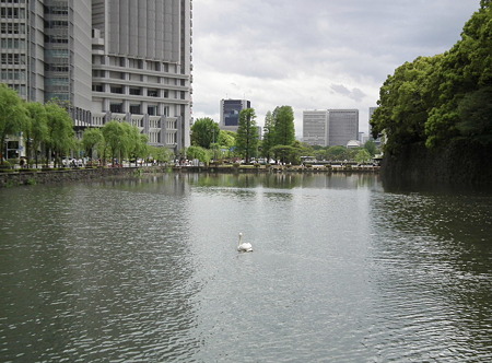 DSCF0254