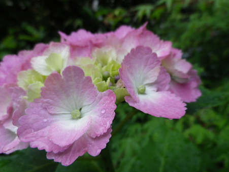 IMGP0079