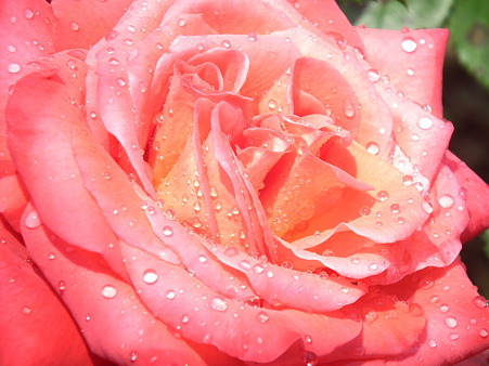 DSCF0082