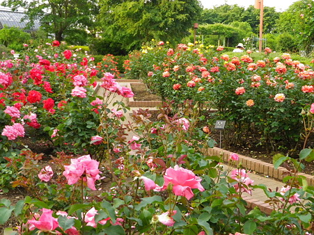 IMGP0022
