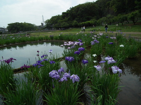 DSCF0323