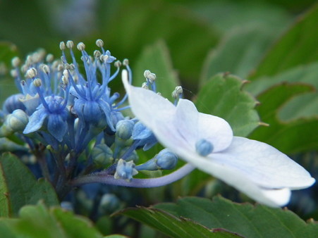 DSCF0105