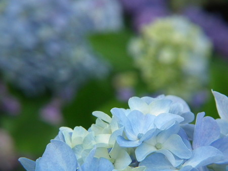 DSCF0213