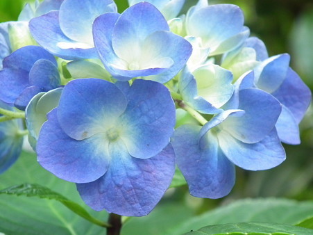 DSCF0317