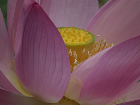 DSCF0256