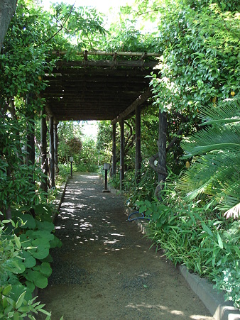 鎌倉野草園