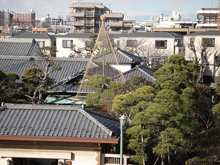 柴又公園から山本亭を望んで