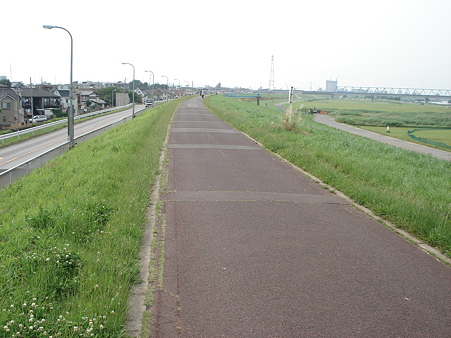 ここは江戸川区