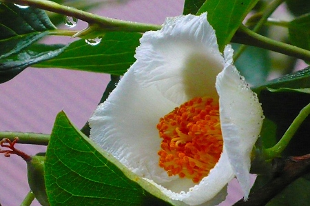 P1170416
